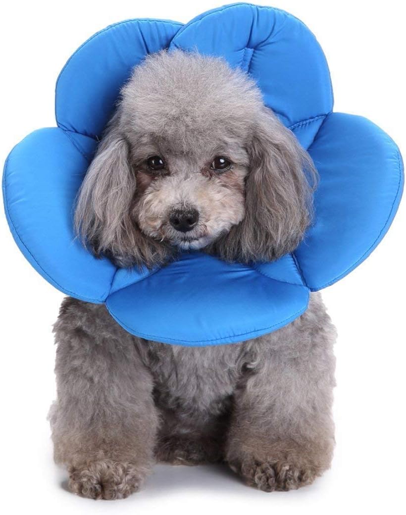 Dogs Cats Medical Grooming Pet E-Collar Recovery Remedy Protective Dog Lick Caught Soft Sponge Adjustable Postoperative Kit for Small and Medium Dog (Blue, M (neck's Girth 10.6 to 11.4))